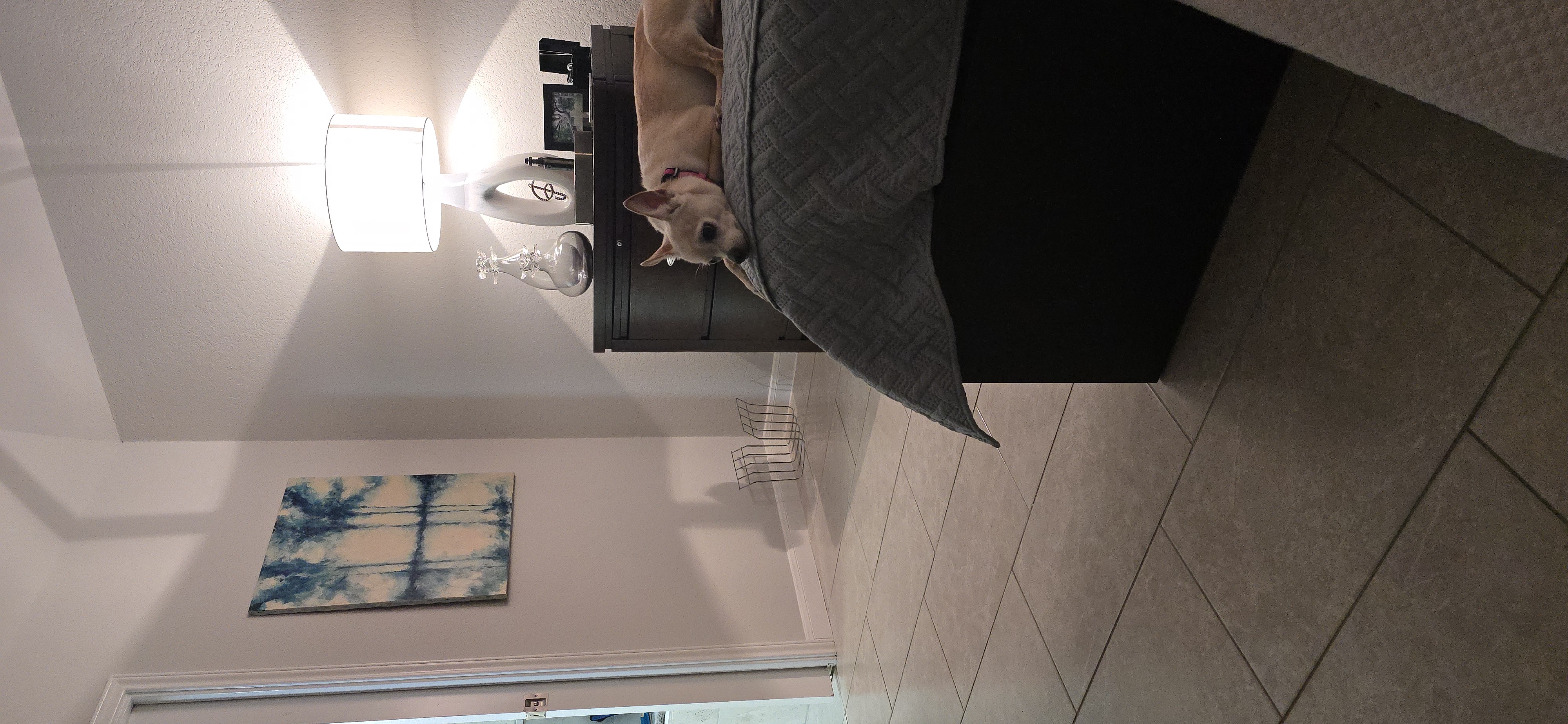 Hagerman renovation — styling detail